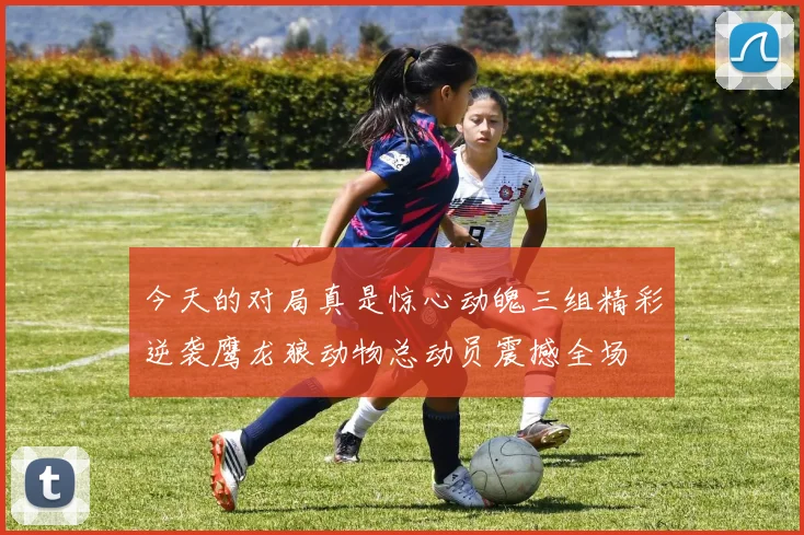 今天的对局真是惊心动魄三组精彩逆袭鹰龙狼动物总动员震撼全场
