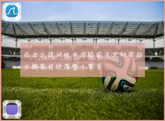 西尔扎提训练中右膝前交叉韧带部分撕裂将缺席整个赛季