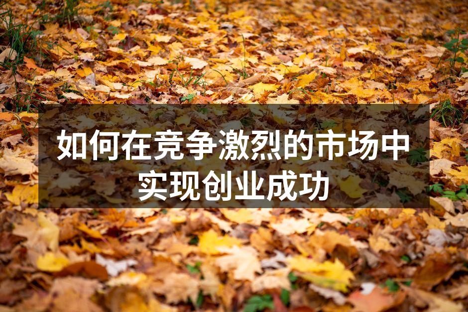 创业者进行市场调研的场景