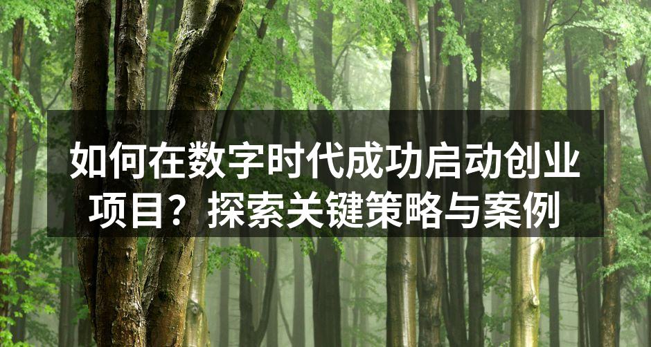 创业团队合作中的思维碰撞