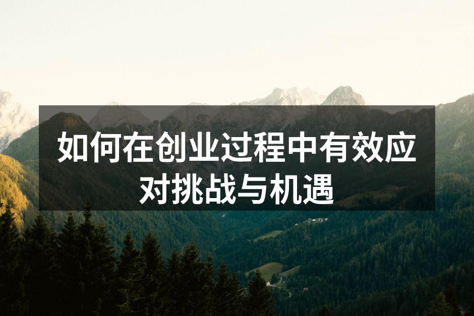 创业艰辛，挑战重重